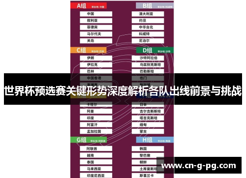世界杯预选赛关键形势深度解析各队出线前景与挑战 世界杯预选赛关键形势深度解析各队出线前景与挑战