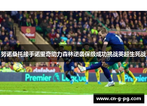 努诺桑托接手诺里奇助力森林逆袭保级成功挑战英超生死战 努诺桑托接手诺里奇助力森林逆袭保级成功挑战英超生死战